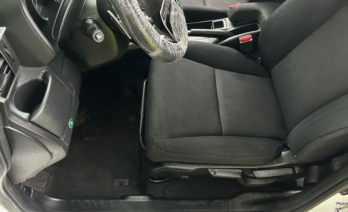 after car mold removal lutz