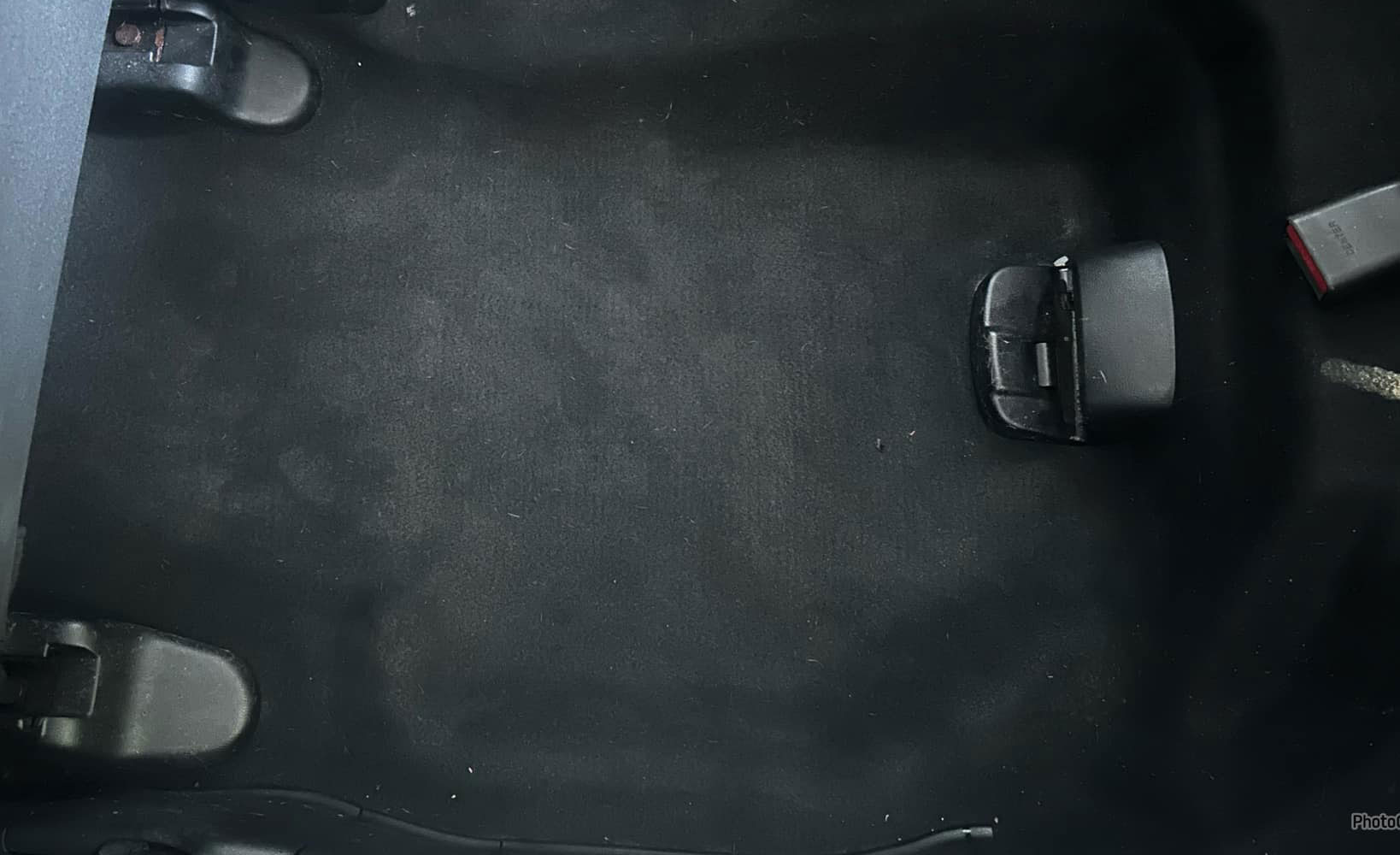 after car mold removal service lutz