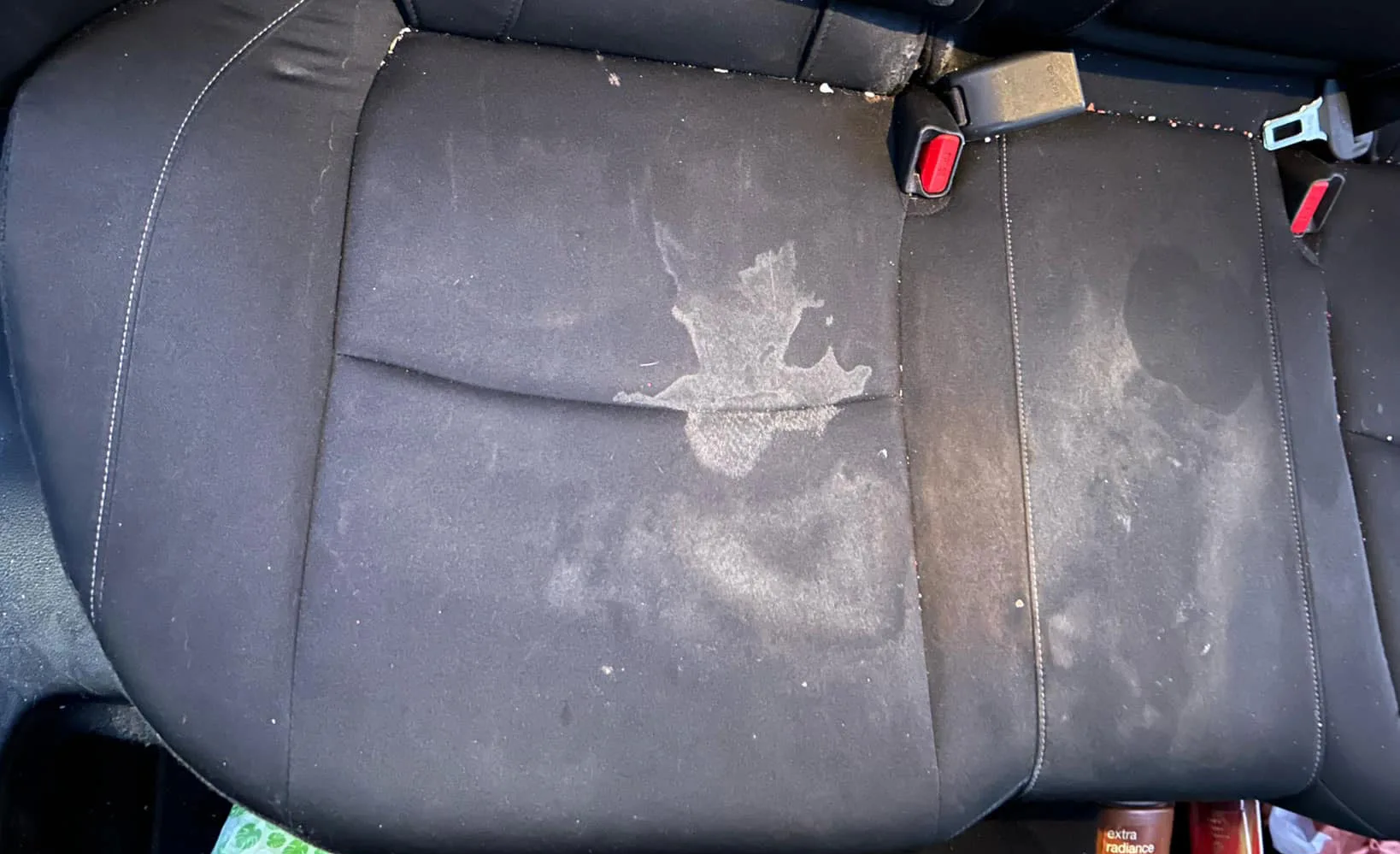 before interior cleaning valrico