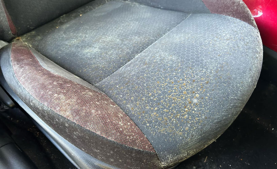 before before mobile car interior cleaning clearwater
